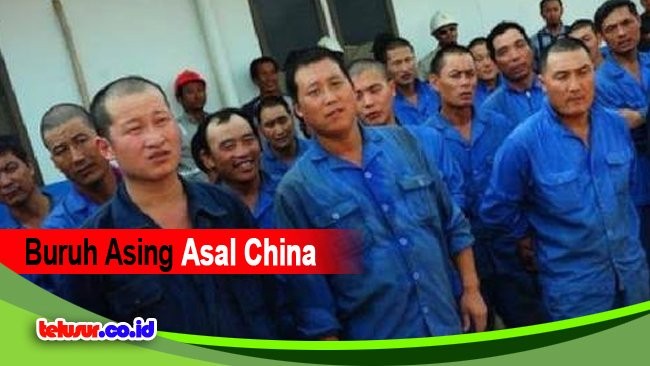 Awas, Indonesia Dibanjiri Buruh China..! Polisi Ciduk 38 Orang Tak Berdokumen