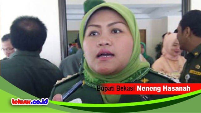 Bupati Neneng Kembali Beri Peluang Investor Asing Kembangkan Bekasi : Kenapa Sih Demen Banget..?