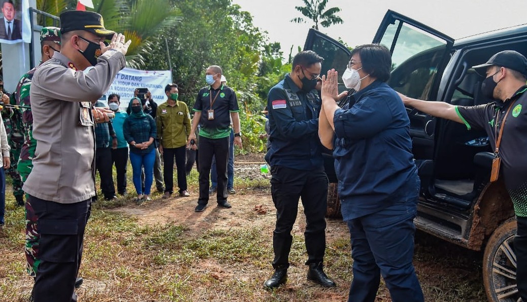 Menteri Siti Blusukan ke Mangrove Delta Mahakam