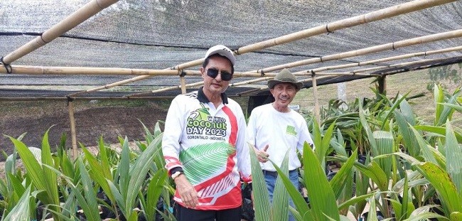 Wakil Ketua MPR RI Dorong Hilirisasi Produktivitas Kelapa