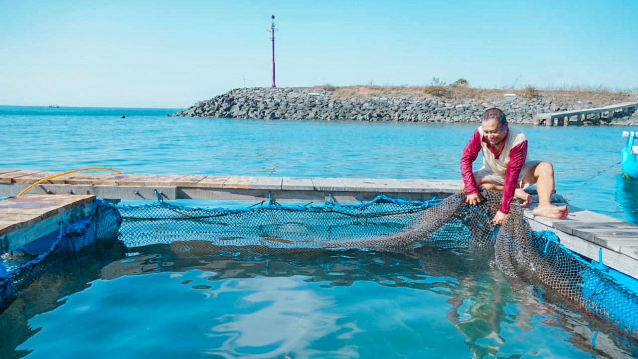 Rambah Budi Daya Ikan dan Lobster, PLN Fasilitasi Rumah Apung bagi Warga Kampung Mandar