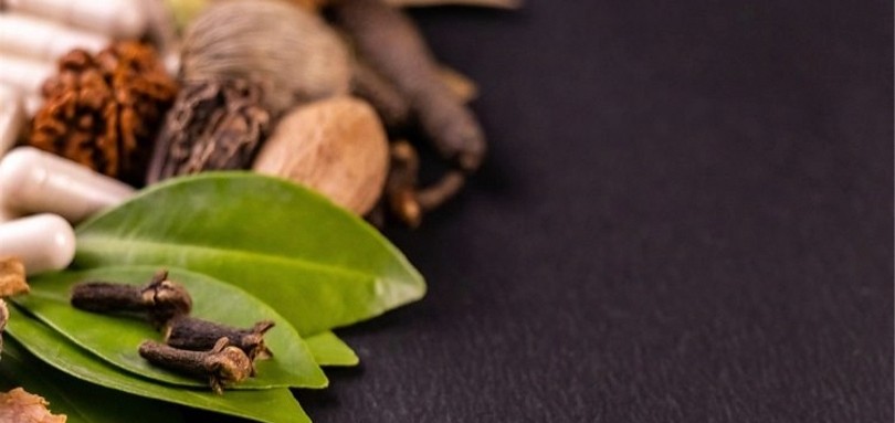 Kandungan Euganol dalam Obat Herbal Jadi Sorotan, Bikin Sehat atau Berbahaya?