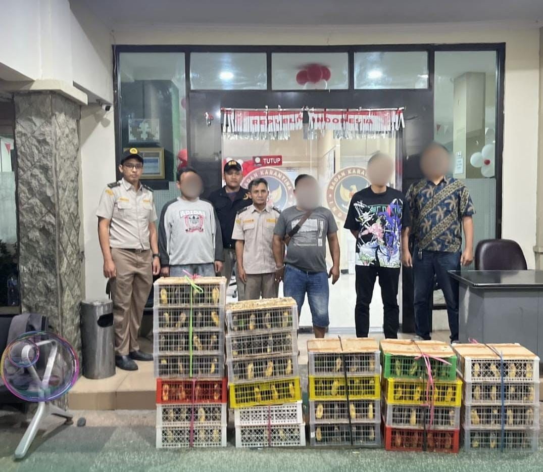 Barantin Gagalkan Penyelundupan 184 Burung, Cegah Risiko Flu Burung Masuk Jawa Timur