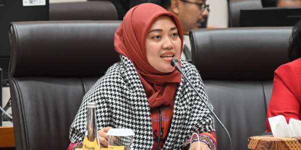 Pimpinan Komisi VII: Dupe Culture Gen Z Bisa Dorong Pertumbuhan Brand Lokal dan Industri Nasional