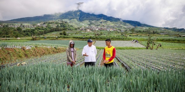 Penyebab Harga Produk Pertanian Runyam Teten Ingin Musnahkan Peran