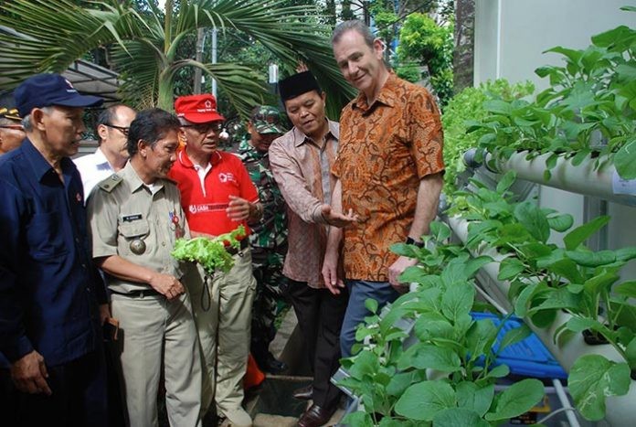 Program Penghijauan Bagus Untuk DKI Jakarta