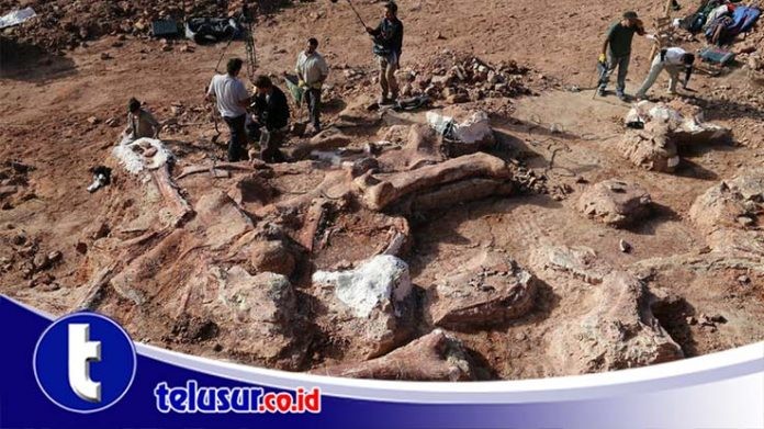 Ilmuwan Berhasil Menemukan Spesies Baru Dari Titanosaurus di Gurun Sahara