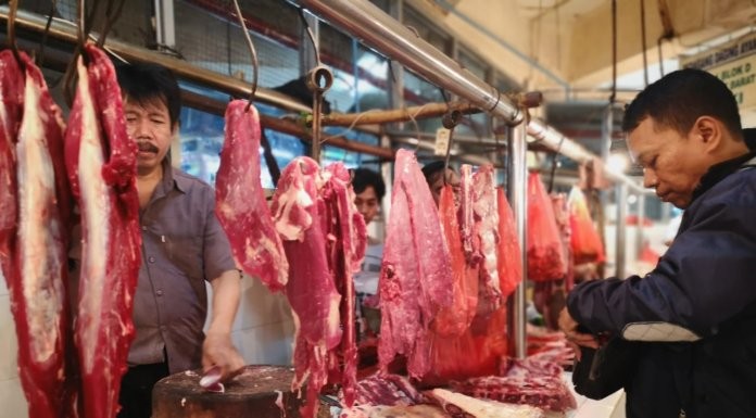 Dirjen PKH: Untuk Mei -Juni, Daging Ayam Surplus 30.373 Ton