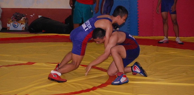 DPR Harap PGSI Raih Medali Emas Di Asian Games 2018