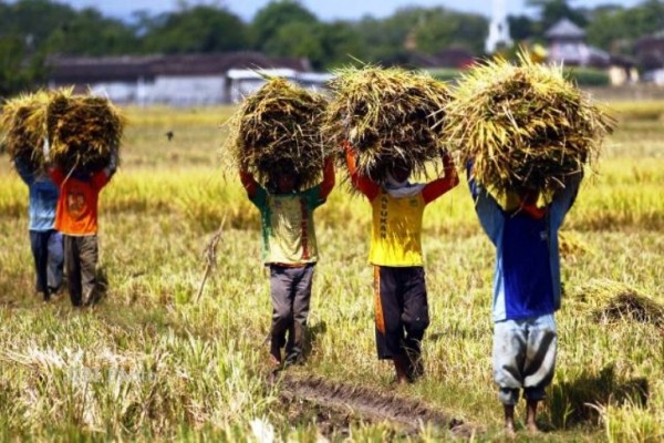 Dihari HTN, Pemerintah Harus Utamakan Kesejahteraan Kaum Tani