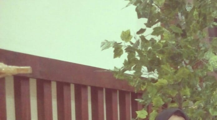 Guru Dikembangkan Harus Secara Utuh, Ada 4 Kompetensi Utama yang Harus Dituntaskan