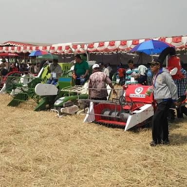 Petani Harus Manfaatkan AlSinTan