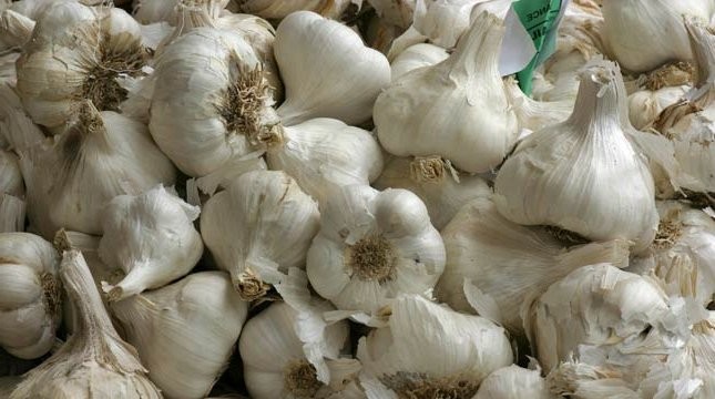 Rugikan Petani, DPR Desak Impor 100 Ribu Ton Bawang Putih Dievaluasi