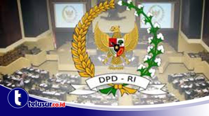 Senator Dorong Pembukaan Penerbangan Perintis ke Daerah Pelosok