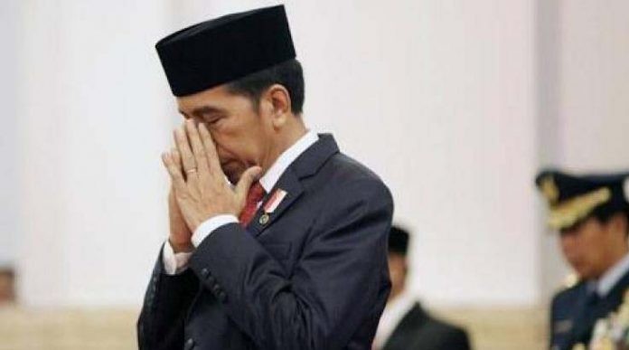 Divonis Melawan Hukum Kasus Karhutla, Jokowi: Masih Ada Upaya Kasasi