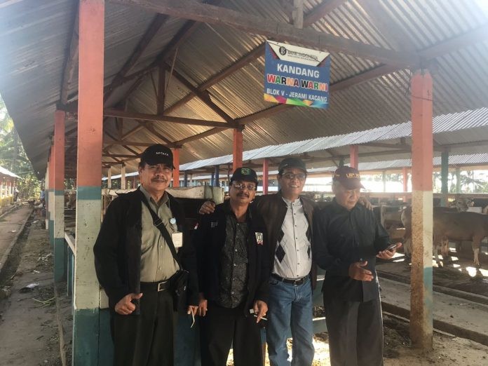 Usai Gempa Lombok, Kementan Imbau Tim Identifikasi Antisipasi Pencuri Sapi