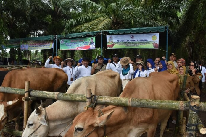 Percepat Peningkatan Populasi, Kementan Dorong Upsus Siwab di Sumut
