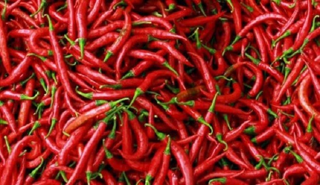 Harga Cabai Makin Pedas, Industri Makanan Terancam Gulung Tikar