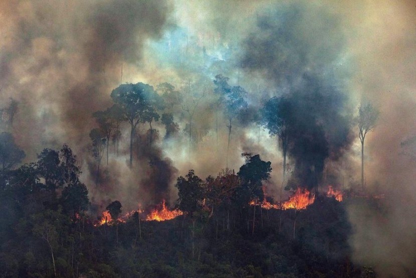 Sempat Menolak, Brazil Siap Terima Bantuan Kebakaran Hutan Amazon