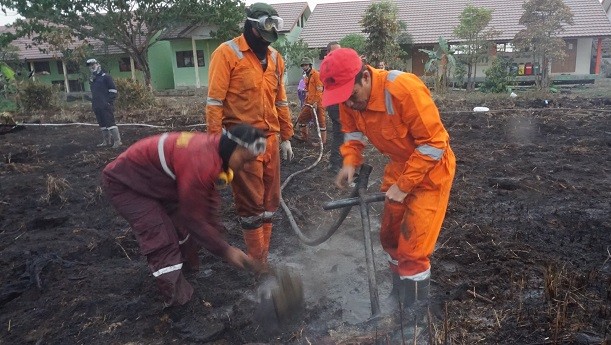 Kebakaran Hutan, Dishut Kalimantan Terjunkan Brigdalkarhutla