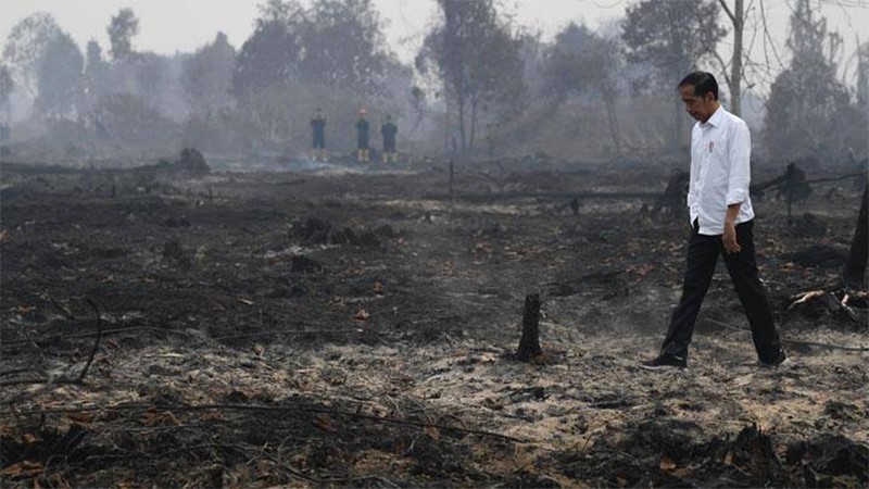 Selain Kepala Daerah, Mendagri Tegaskan Presiden Dilarang Pergi ke Luar Negeri