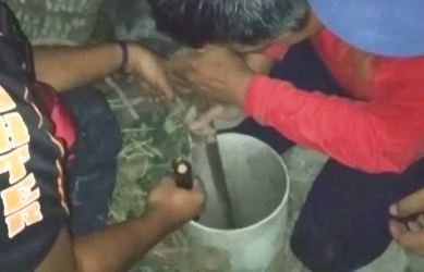 Petugas Damkar Selamatkan Kucing Terperosok Ke Lubang Bekas Sumur