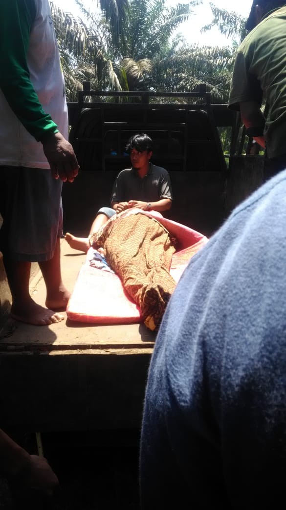 Diduga Hanyut dan Tenggelam,  Pencari Ikan di Serdang Bedagai Akhirnya Ditemukan Kondisi Meninggal Dunia 