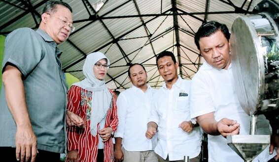 PT. SIL Produk Kina, Diversifikasi Produk Dan Transformasi Dalam Bisnis Minyak Atsiri