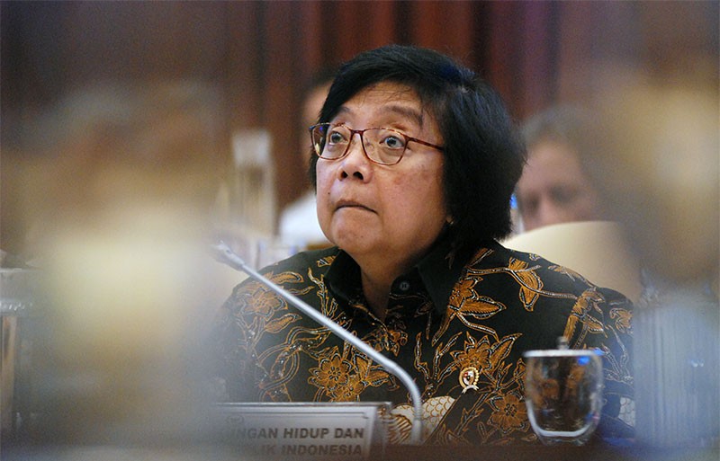 Menteri LHK Siti Nurbaya Bakar Di Komisi IV DPR