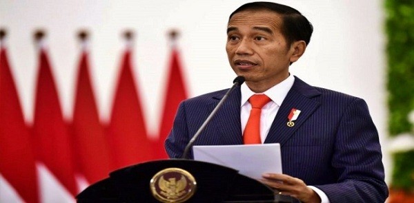 Jokowi Jawab Kritikan Susi Ihwal Ekspor Benih Lobster