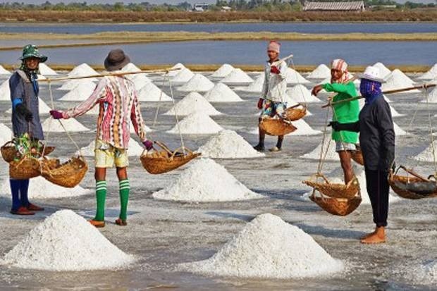 Pemerintah Bohong Pada Petani Garam