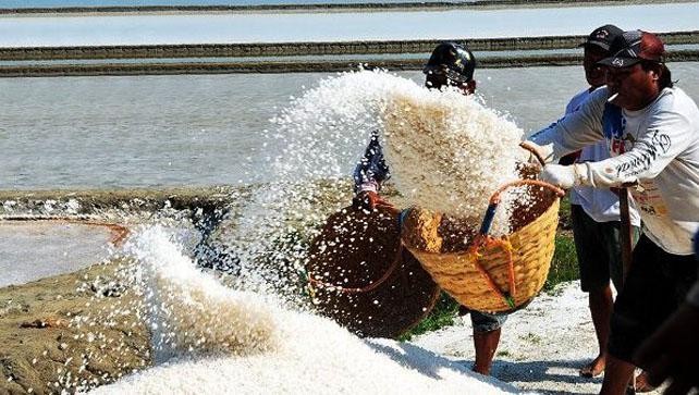 Narasi Pemerintah Menjatuhkan Petani Garam Lokal