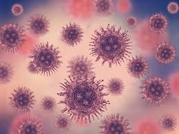 Apa itu Virus Corona dan Bagaimana Agar Tak Terkena, Ini Kata Dokter