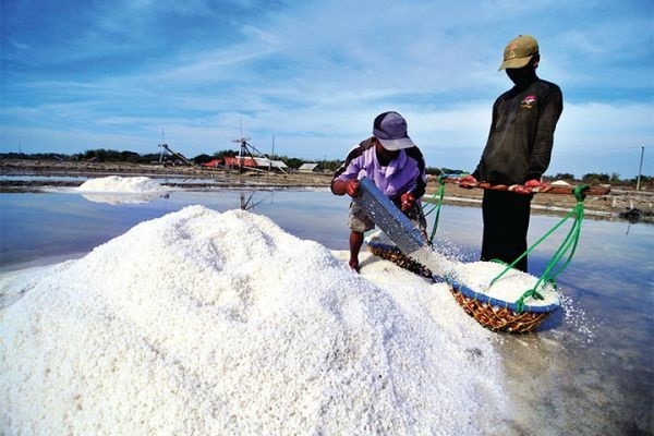PBNU Kritik Rencana Pemerintah Impor Garam Besar-besaran