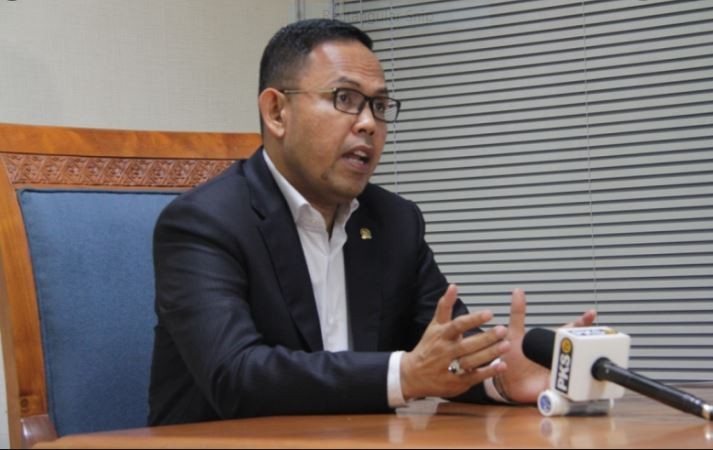 Komisi IV DPR Pertanyakan Penerbitan RIPH  Bawang Putih