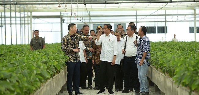 Tinjau Pembibitan Berkapasitas 300 Juta, Jokowi: Ini Bisa Kurangi Substitusi Impor