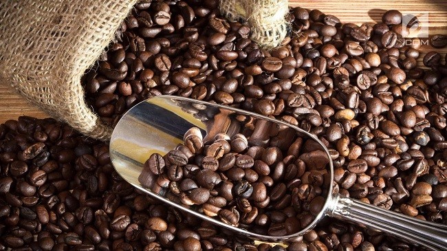 Kolaborasi Kemenkop Jaga Produksi Dan Pemasaran Kopi Di Indonesia