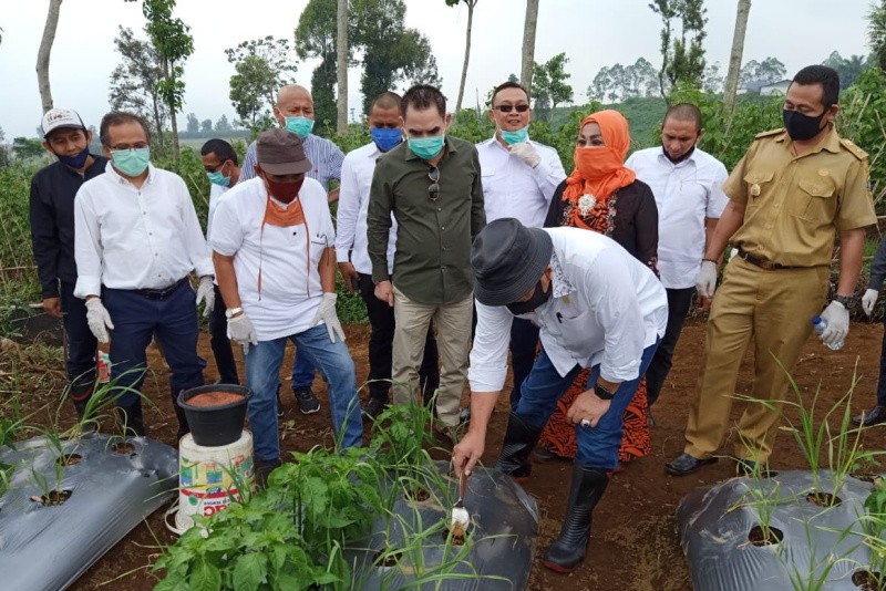 Ketua DPD RI LaNyala Kunjungi Sentra Bawang Di Cianjur