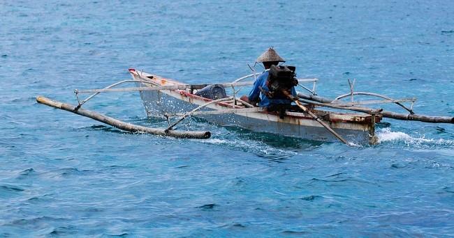 Hat-trik Covid-19: Harga Udang Melorot, Nelayan dan Petambak Menjerit