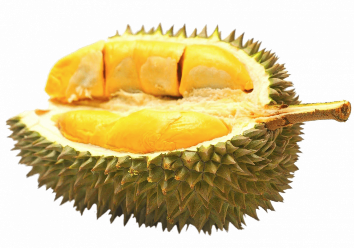 Durian Kemauan