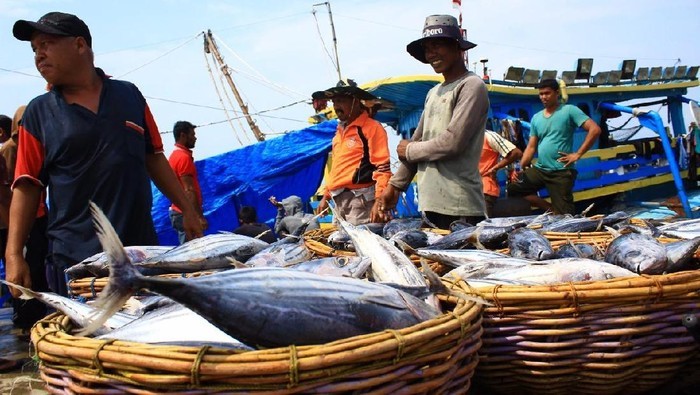 Reriset Verifikasi Dan Validasi Kebohongan Stok Sumber Daya Ikan Indonesia