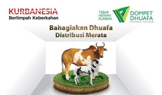 Kurban Tahun Ini Dompet Dhuafa Targetkan 1.000 Sapi dan 30.000 Domba