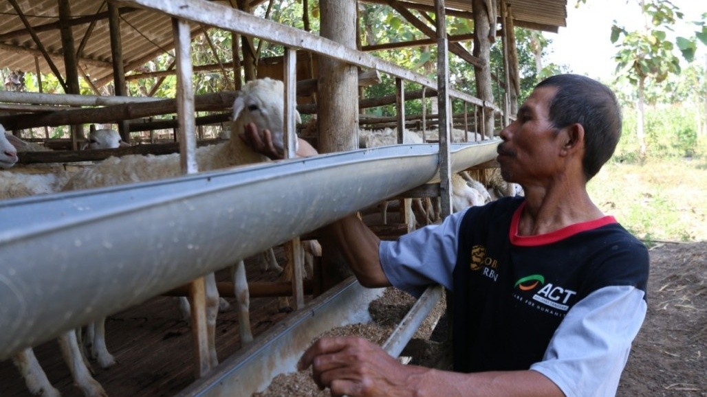 Jadi Agen Global Qurban - ACT, Luaskan Kebaikan dan Dapat Benefit