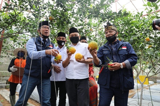 Antisipasi Prediksi FAO, Teten Minta Koperasi Pangan Ditingkatkan