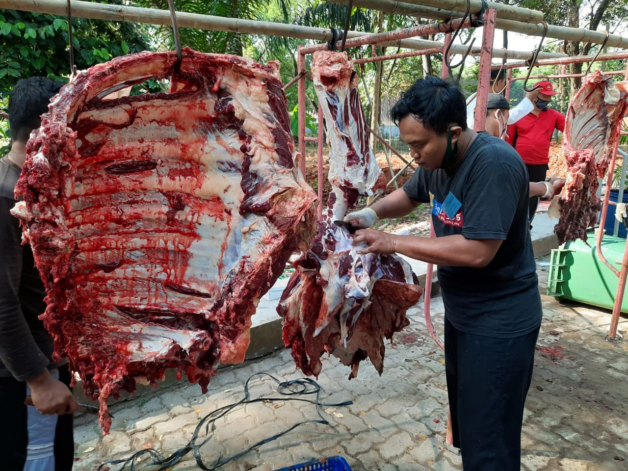 Mabes TNI Sembelih 30 Ekor Hewan Kurban