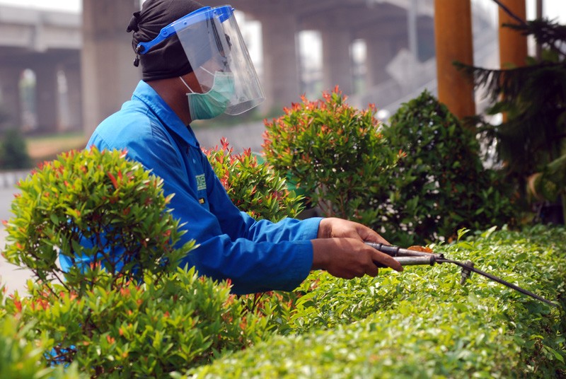 Petugas Taman Gunakan Face Shields dan Masker