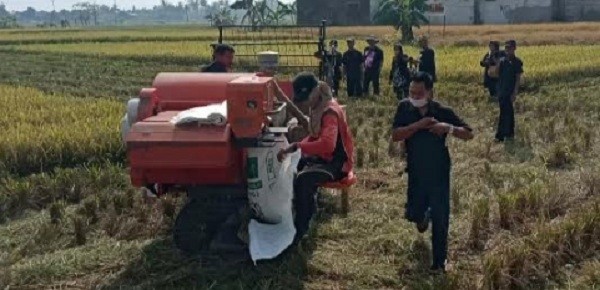 Dimasa Pendemi Covid-19 Tidak Menyurutkan Perjuangan Petani Dalam Ketersedian Pangan