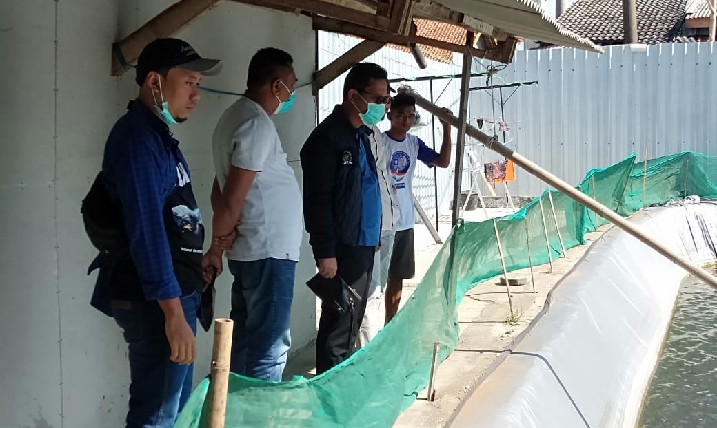 Petambak Udang Vaname di Cilacap Perlu Sentuhan Pemerintah
