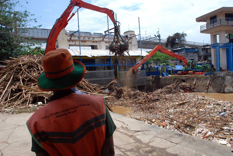 Sampah Pohon Di Pintu Air Manggarai Dikeruk