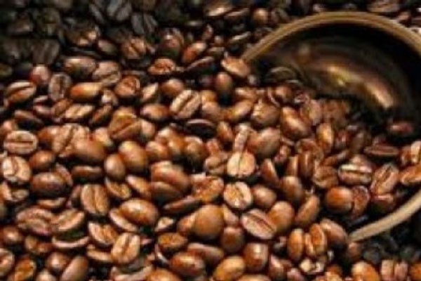 Permintaan Kopi Gayo Saat ini Merosot Drastis